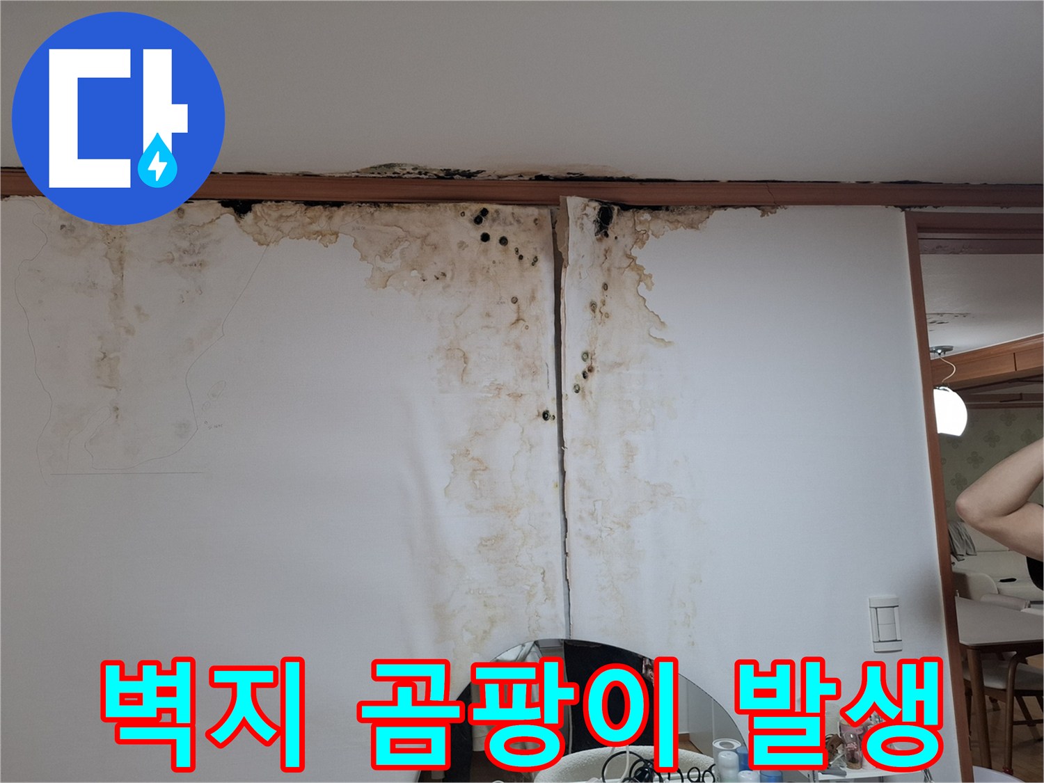 천장 상단부-누수로 인한 벽지 오염과 곰팡이 분포