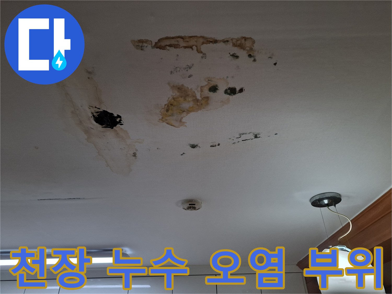 천장에 퍼진 갈색 물자국 - 아랫집 누수 피해 현장