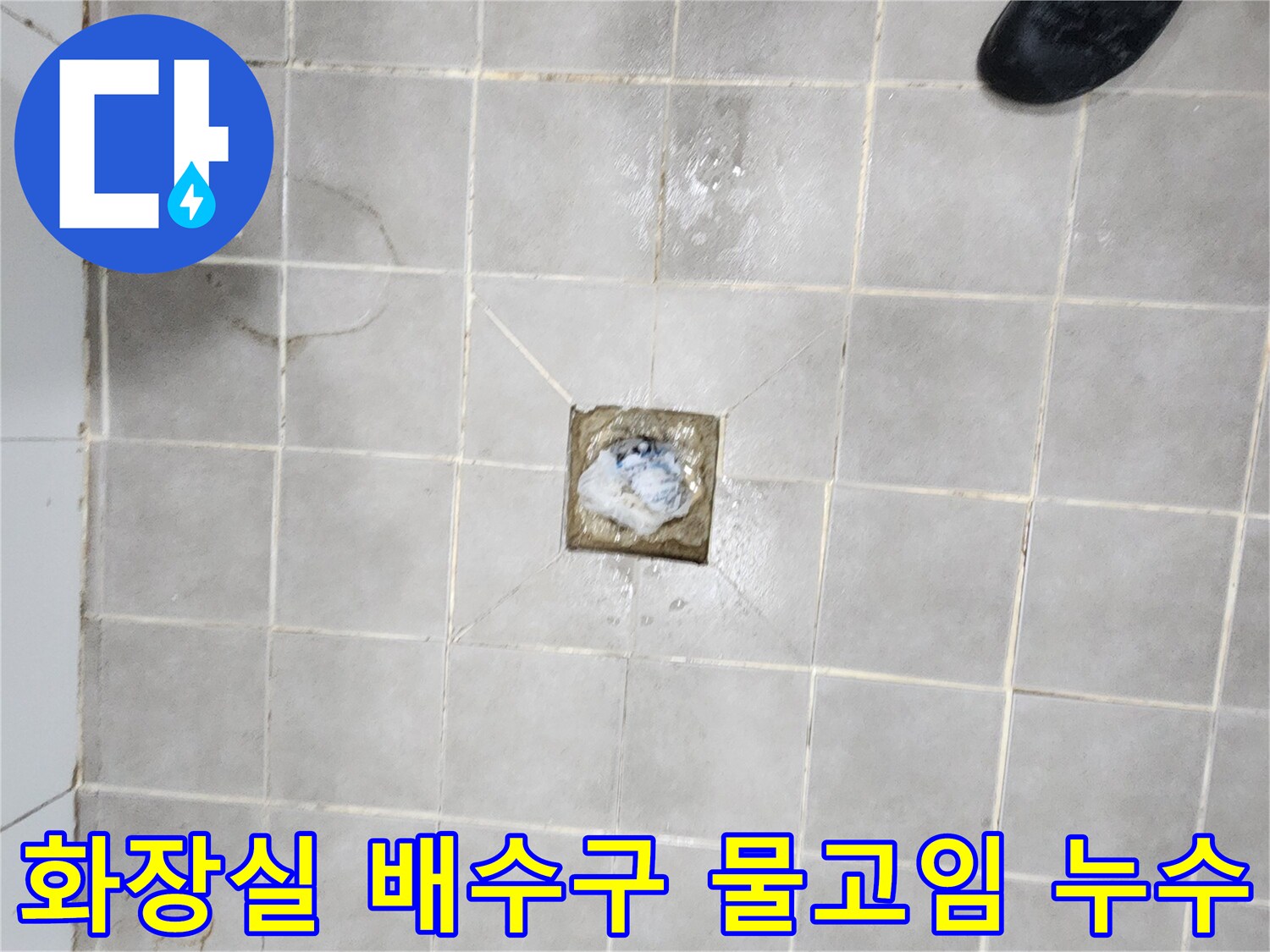 서대문구-주택-화장실-배수구-주변-물고임으로-인한-누수-현장-점검