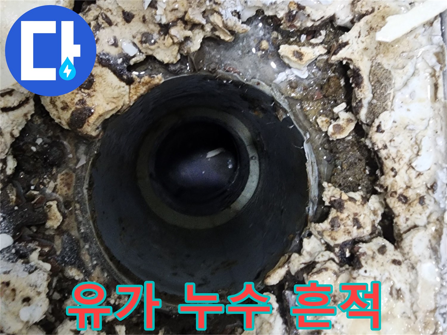 욕실 유가를 제거한 후-확인된 심각한 물기 고임과-오염된 누수 현장