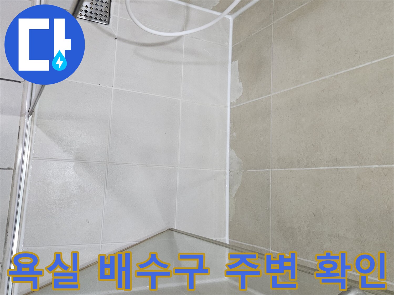 화장실-배수구-및-타일-접합부-육안-검사