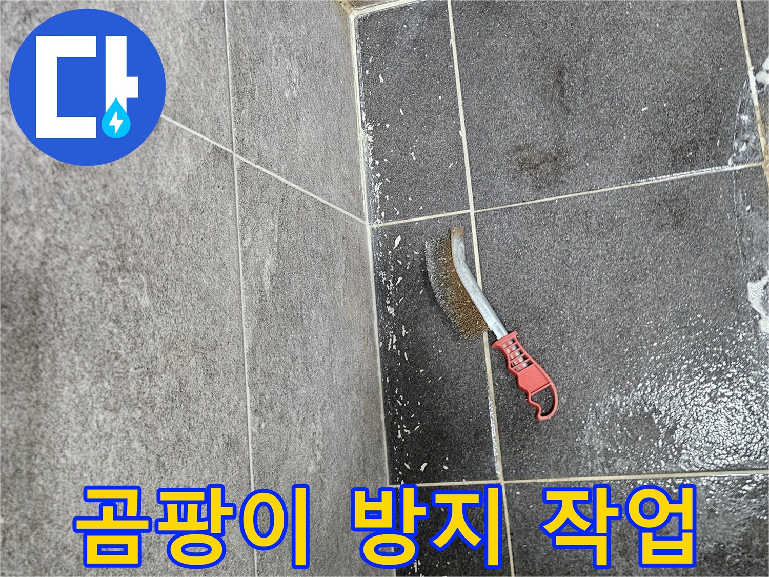 누수 후 곰팡이 재발을 막기 위한-타일 벽면 곰팡이 제거 작업에 사용되는 솔입니다.
