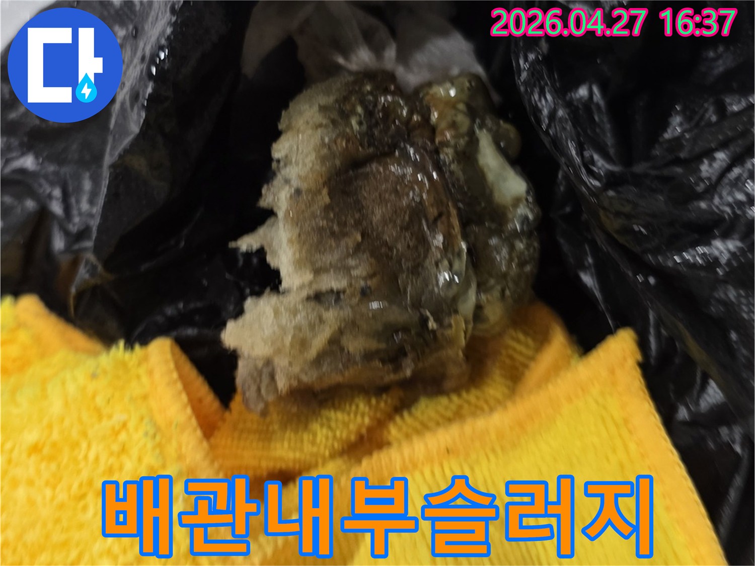 누수 공사 중-배관에서 발견된 이물질-제거 작업