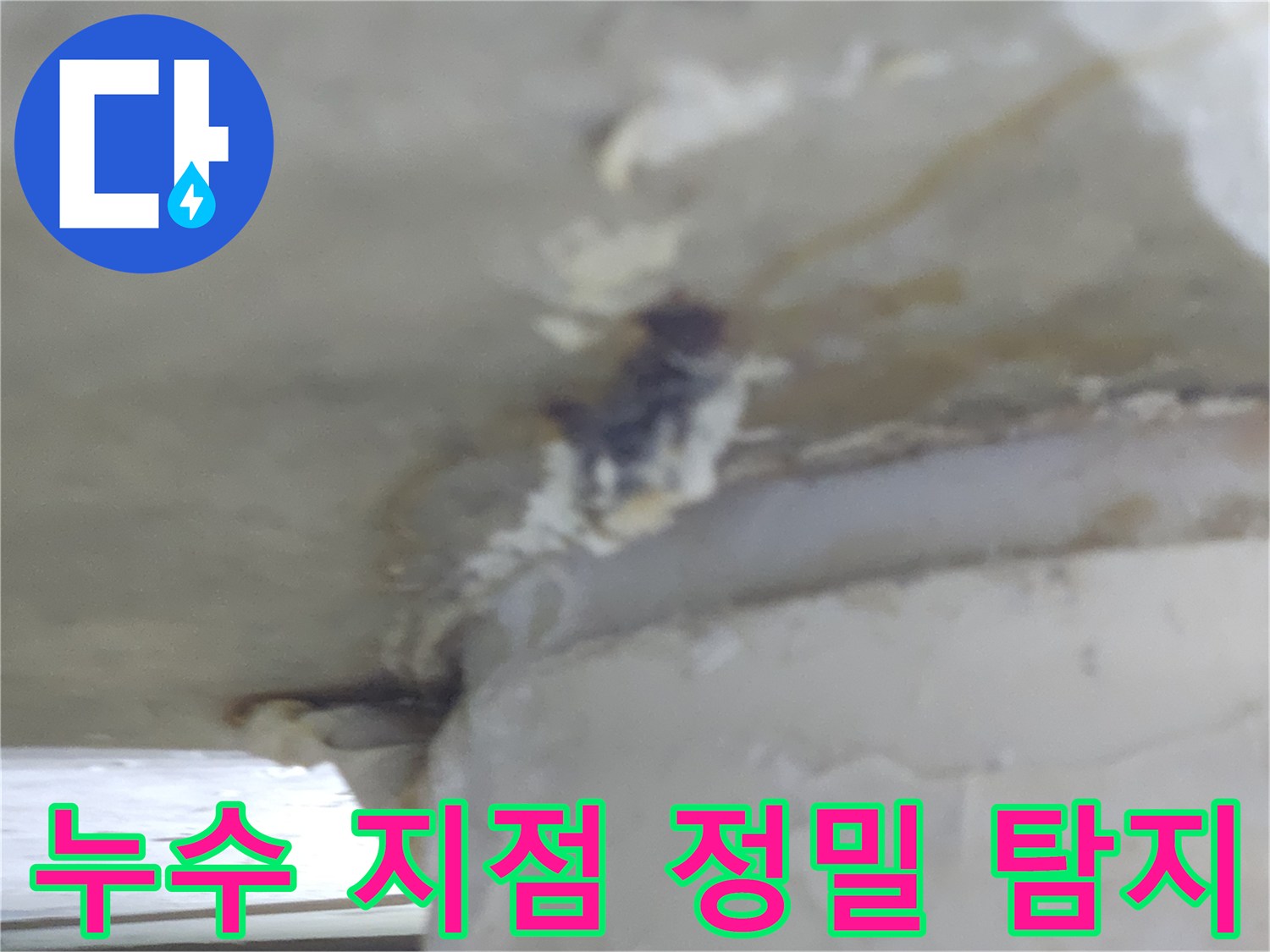 누수-전문가가-누수-지점을-정밀하게-탐지하는-모습