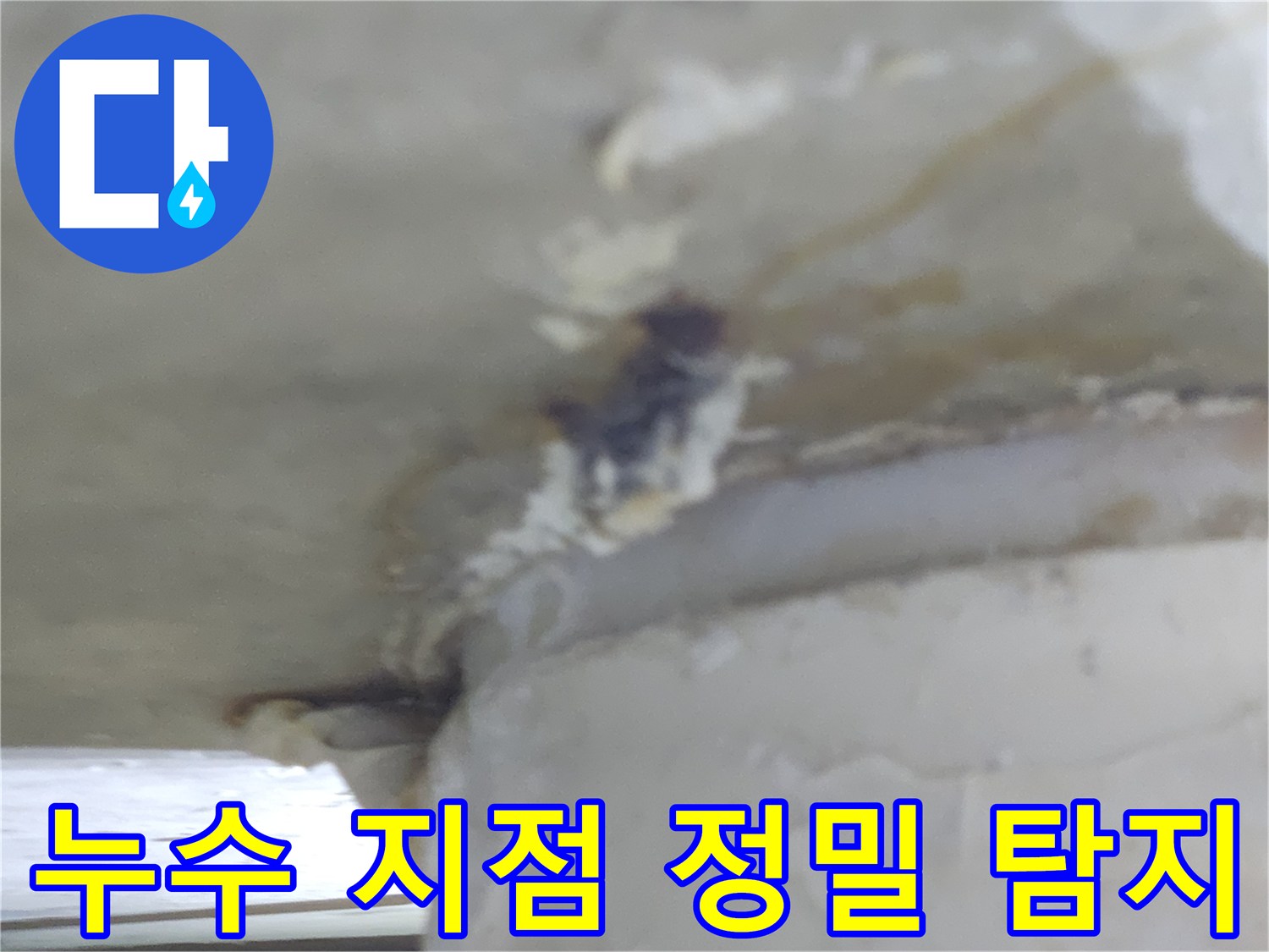 누수-전문가가-누수-지점을-정밀하게-탐지하는-모습