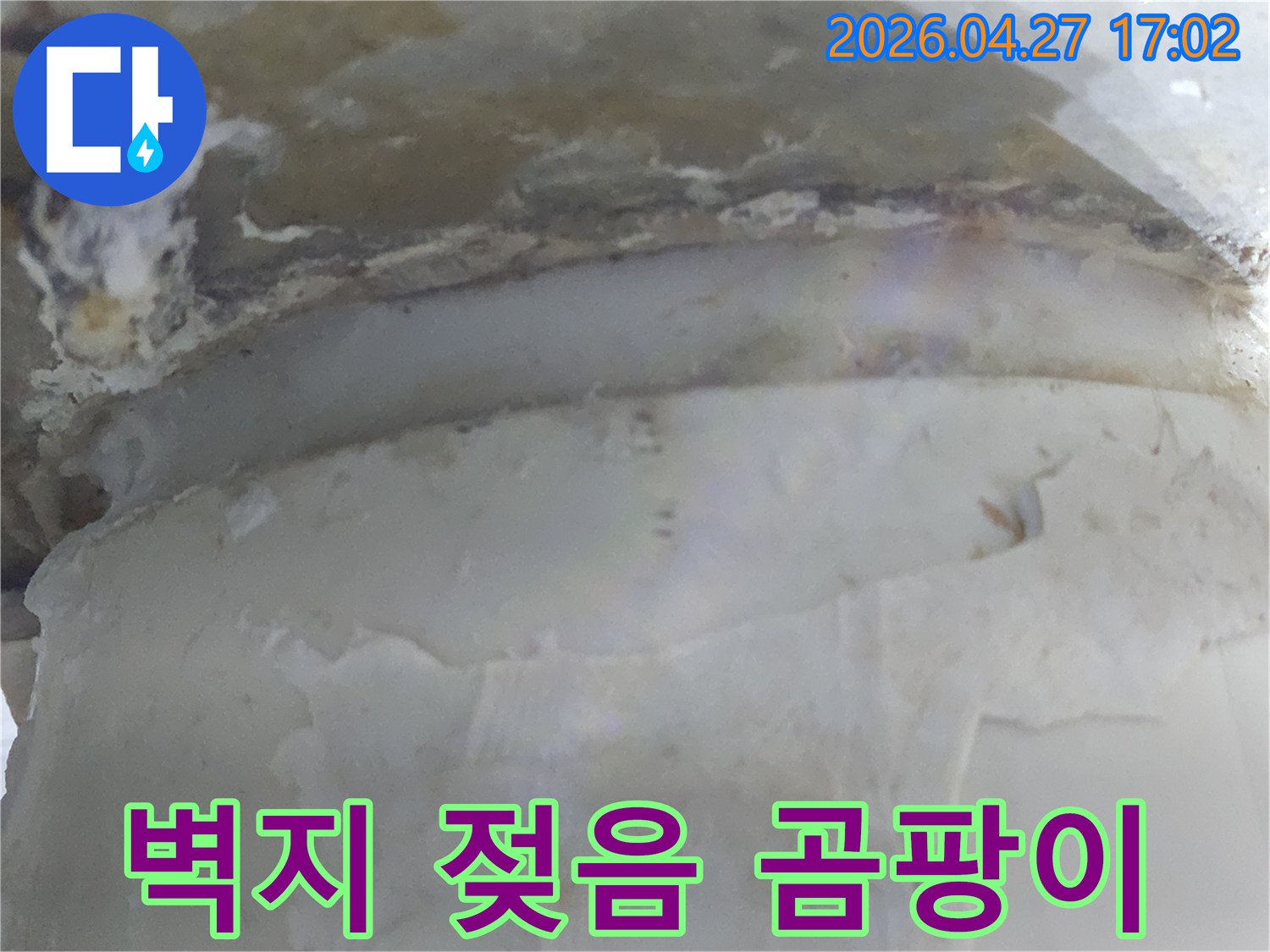 누수로 인해 벽지가 젖고-곰팡이가 번식한 모습을-선명하게 보여줍니다