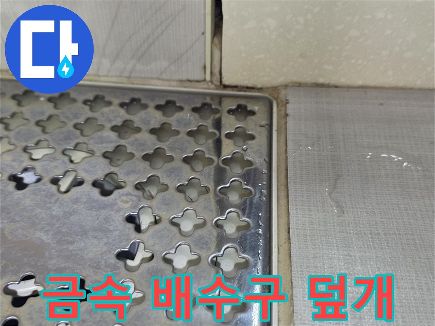 성동구-화장실-배수구-덮개와-타일-접합부