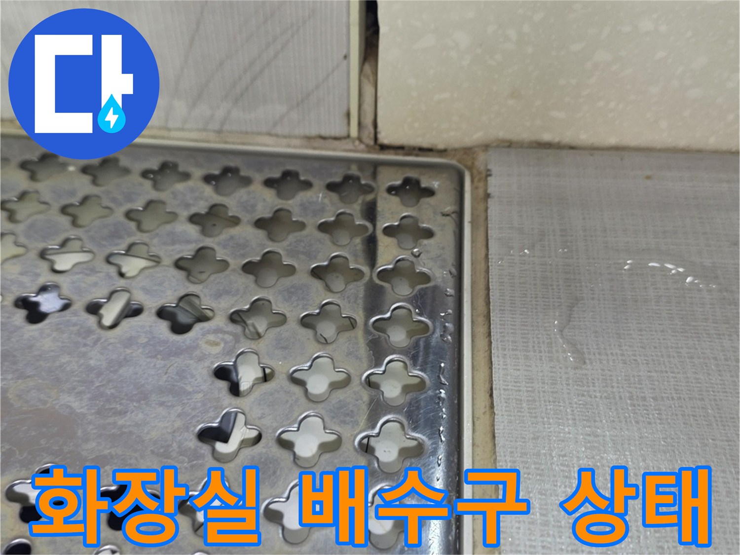 성동구-화장실-배수구-주변-타일-상태