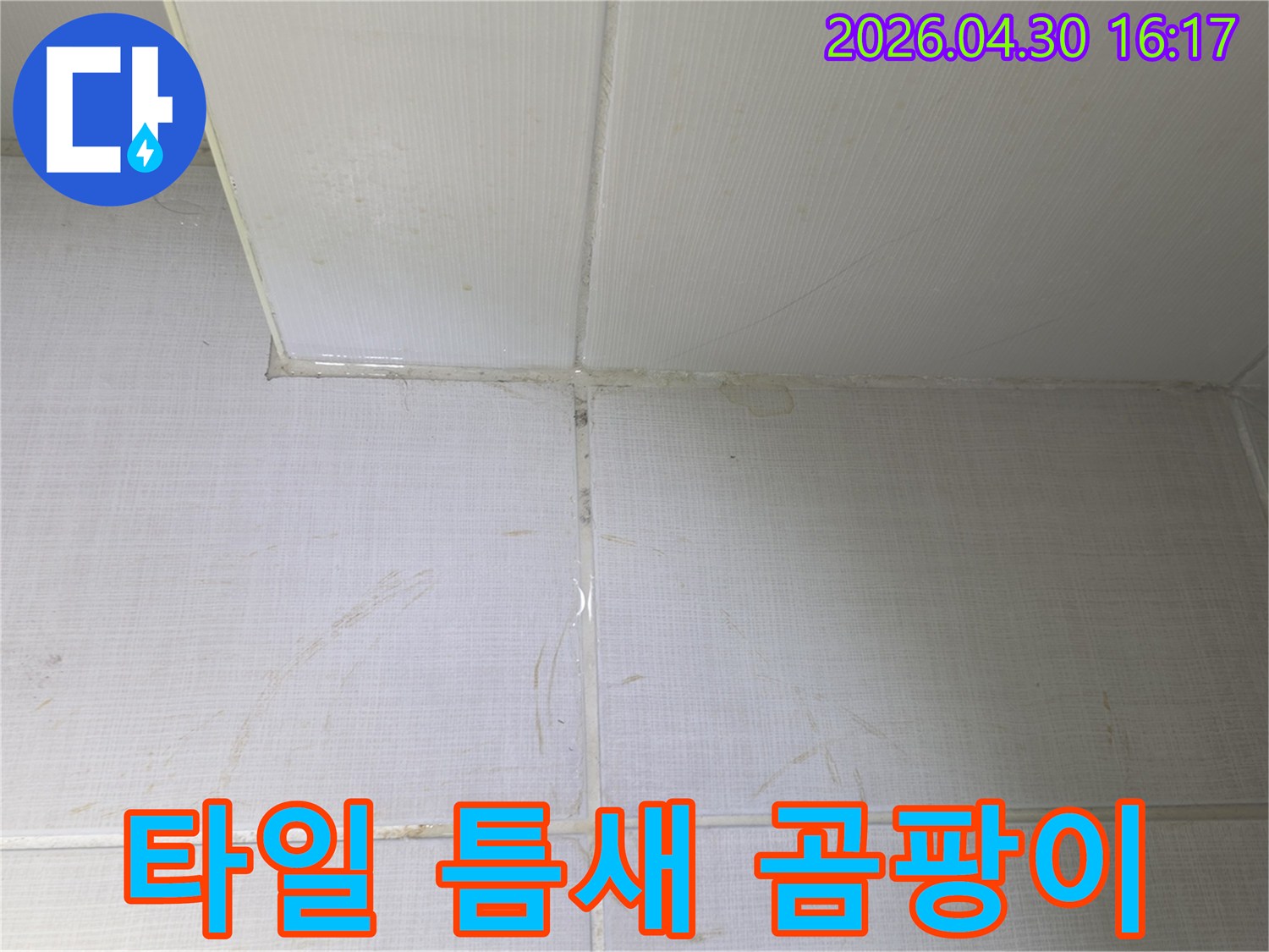 타일-틈새와-줄눈에-발생한-누수로-인한-오염과-곰팡이-흔적