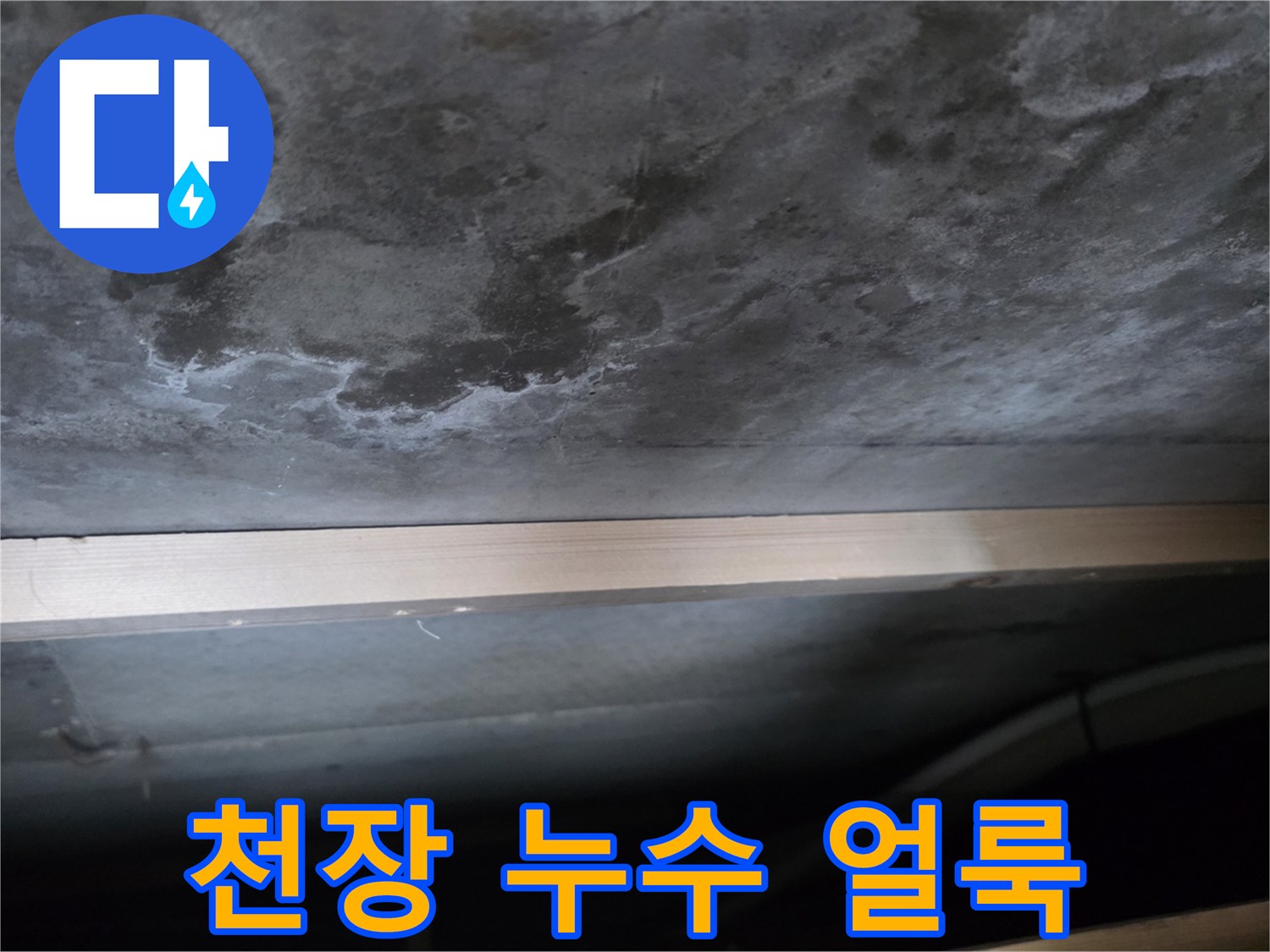 비산동 현장 - 물기 머금은 천장 슬래브