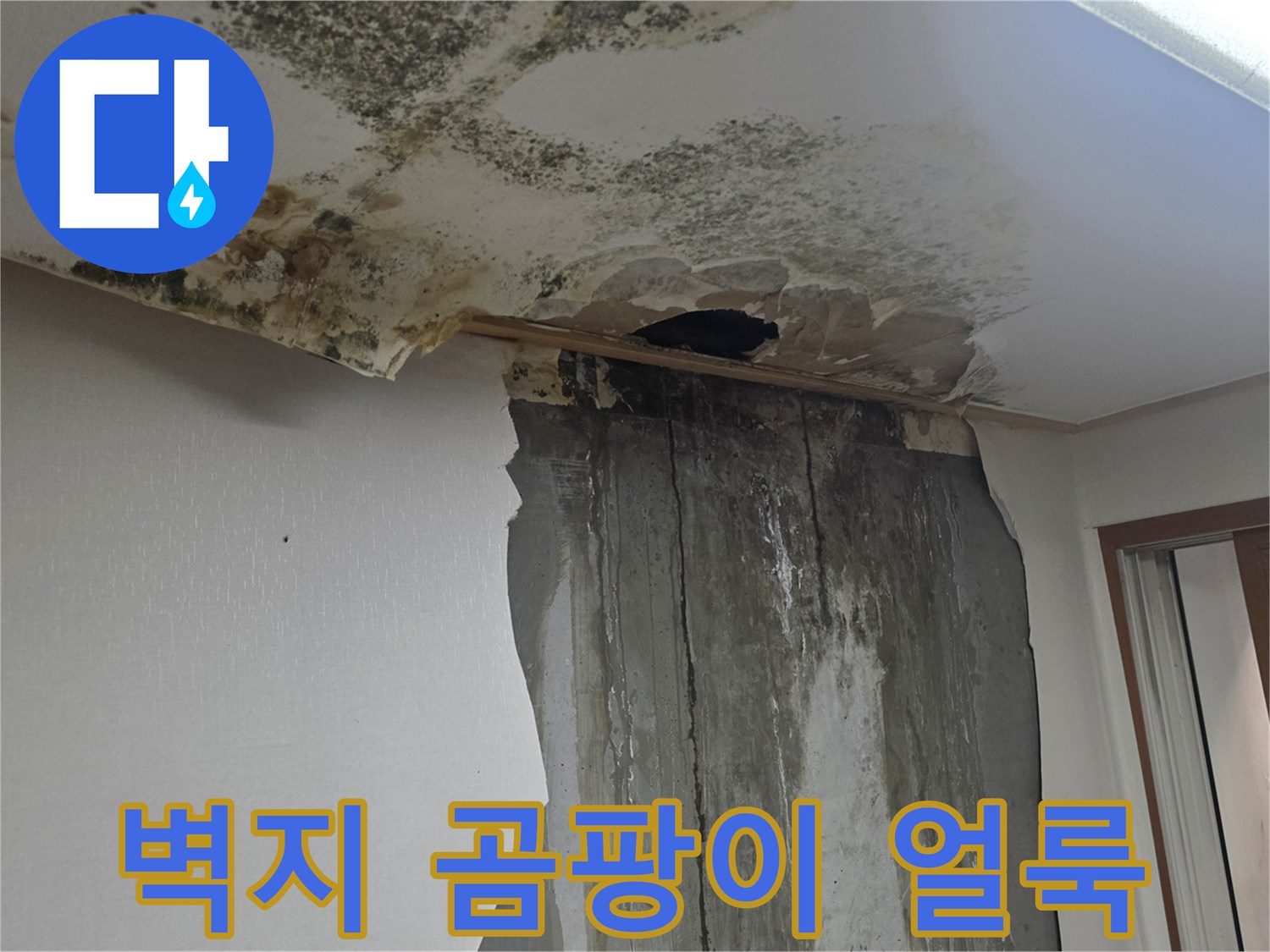 천장 마감-물샘으로 인한 곰팡이 발생 부위 확인
