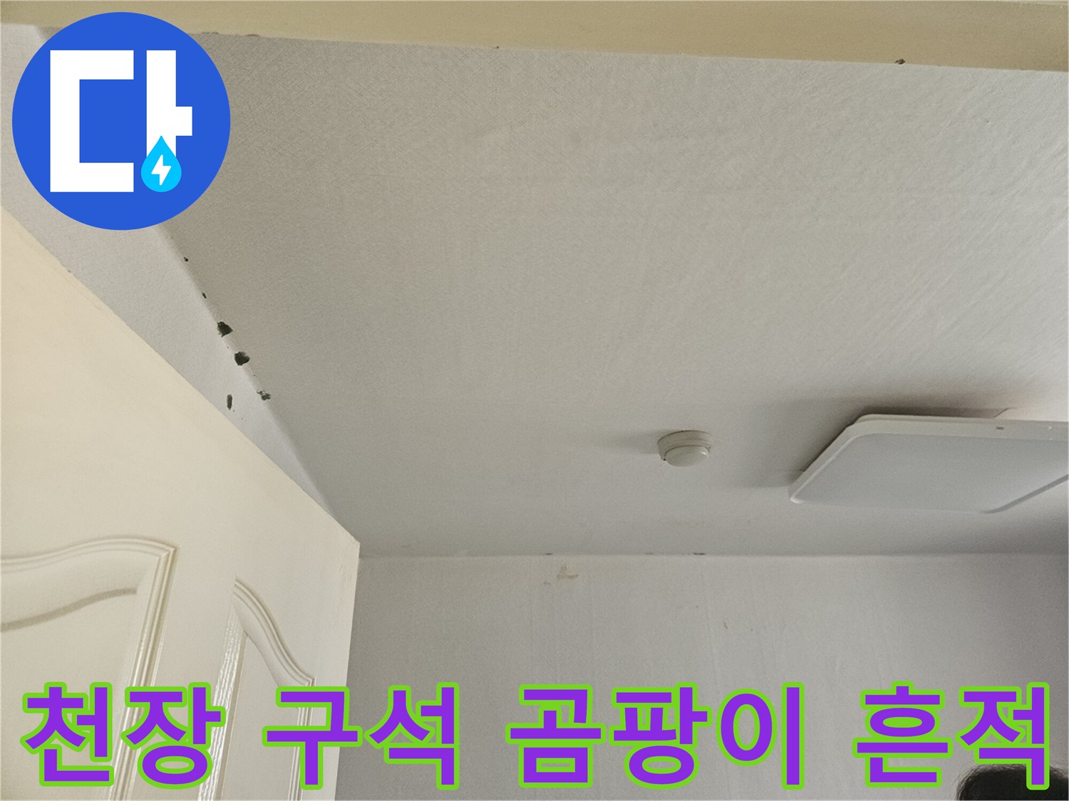 일동면 아파트 천장-도배지 사이의 곰팡이 및 오염 확인