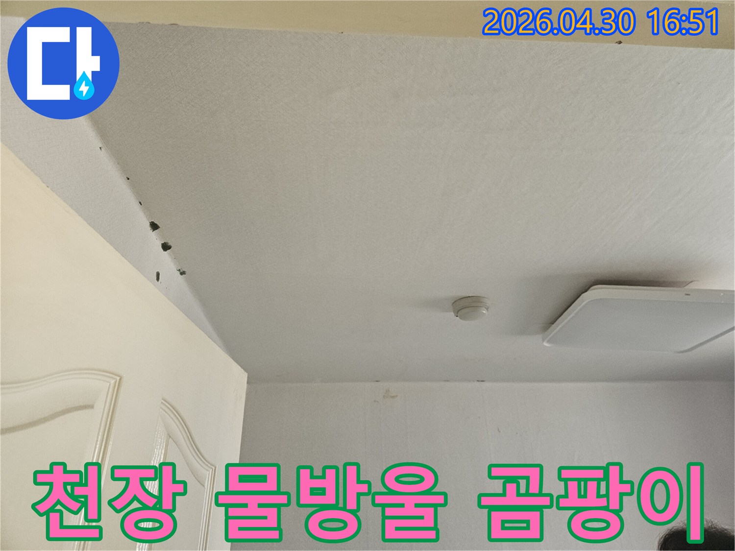 천장-모서리에서-물방울이-떨어지고-주변에-곰팡이가-생긴-심각한-누수-현장을-담은-사진입니다.