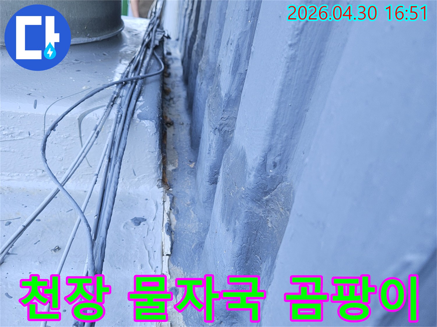 포천 리버아파트 천장에서-물자국과 곰팡이가-발견된 누수 현장
