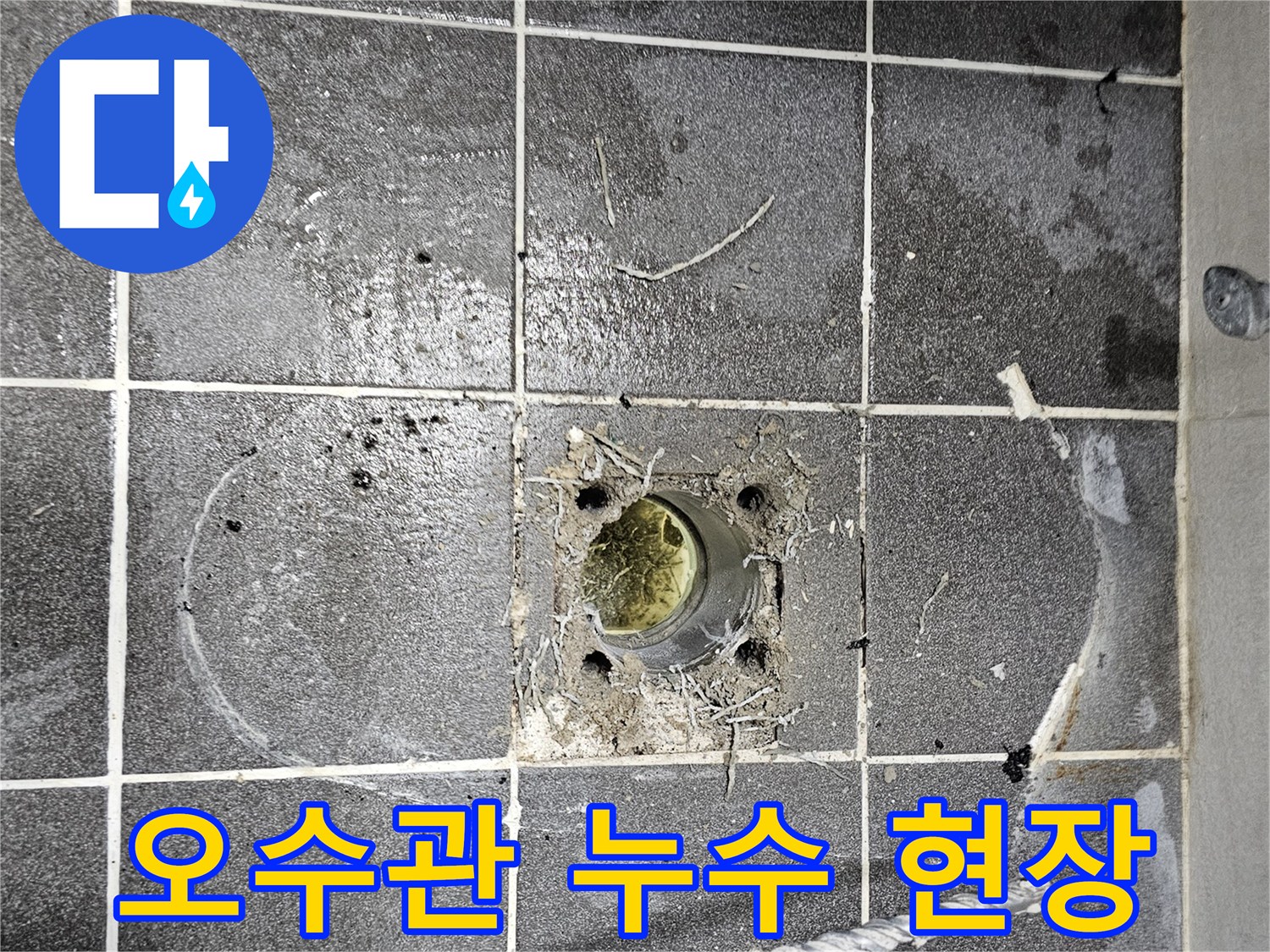 오수관-주변-바닥-타일-오염-및-물고임-현상-확인-사진