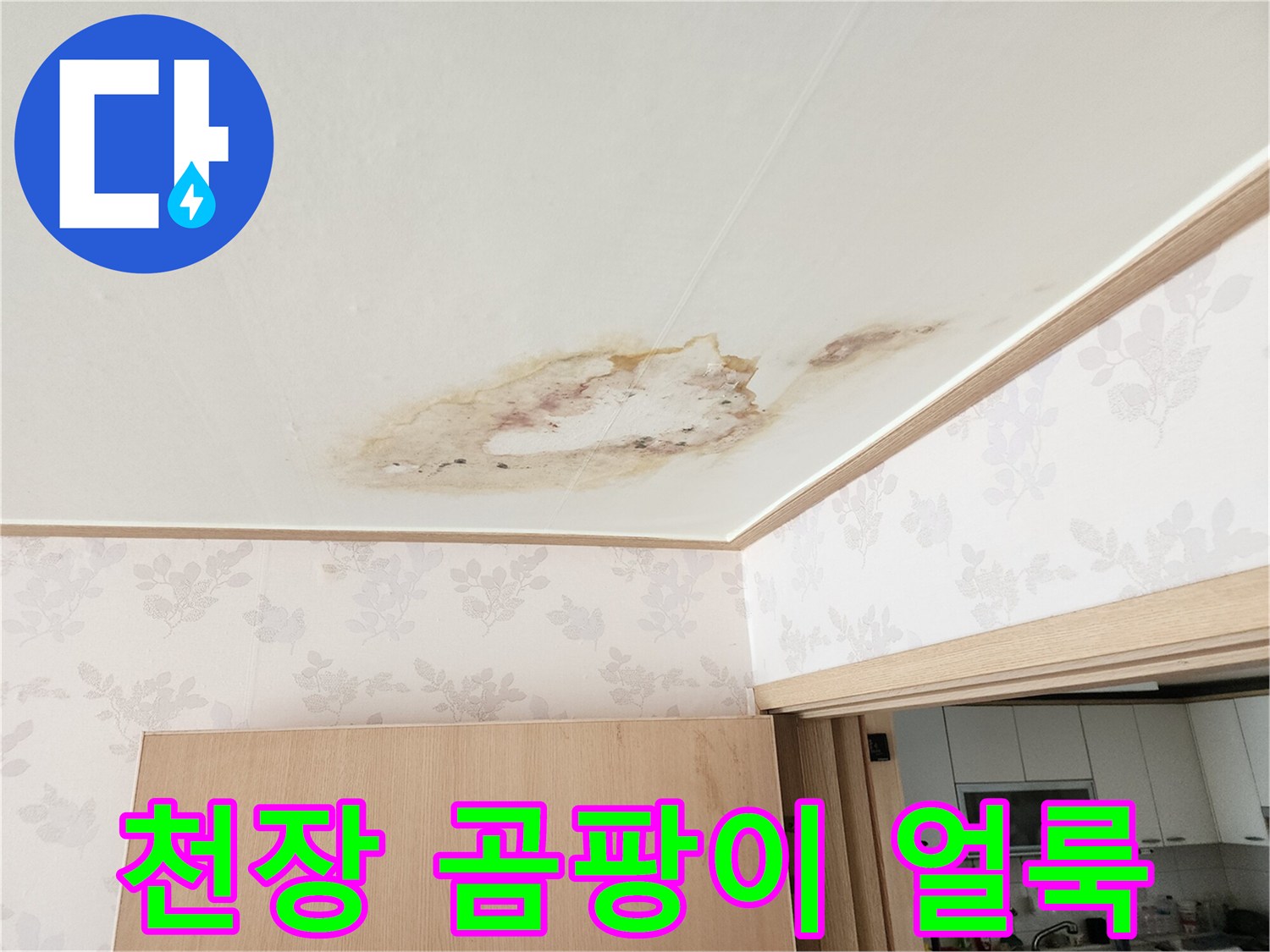 천장 마감재에 번진 누수 흔적과 오염 부위