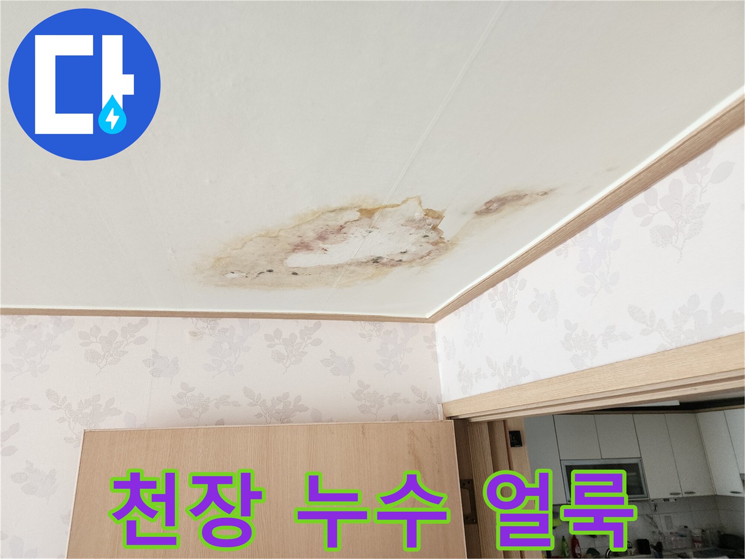 화성 향남 아파트 - 아래층 천장에 발생한 누수 흔적과 변색된 부위