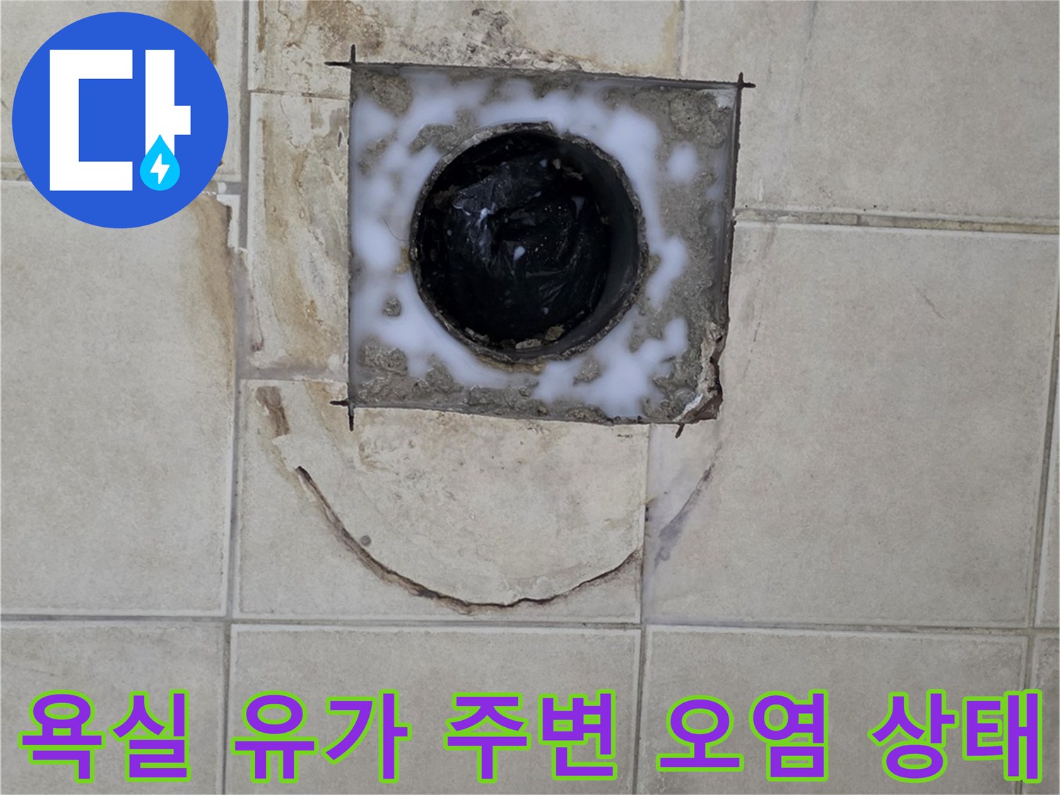 배수구-유가-주변-타일-틈새-누수-징후