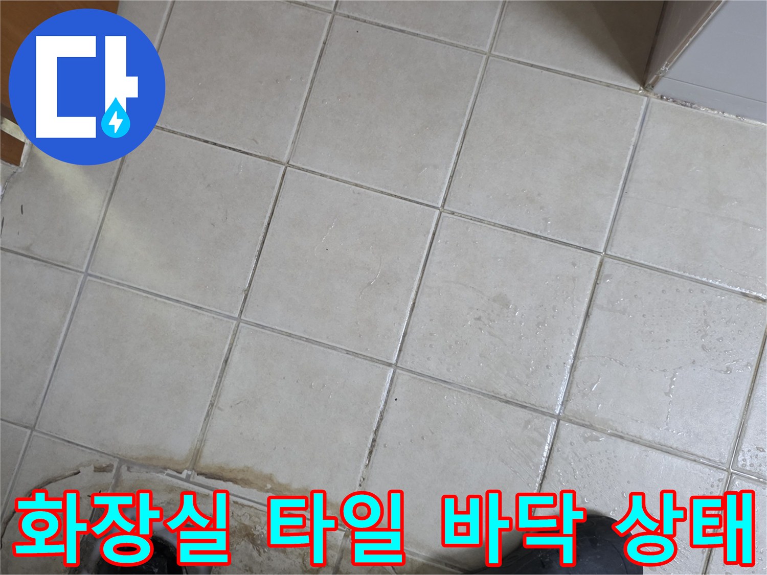 양주 현장의-화장실 타일 틈새와 배수구 주변의 오염된 모습