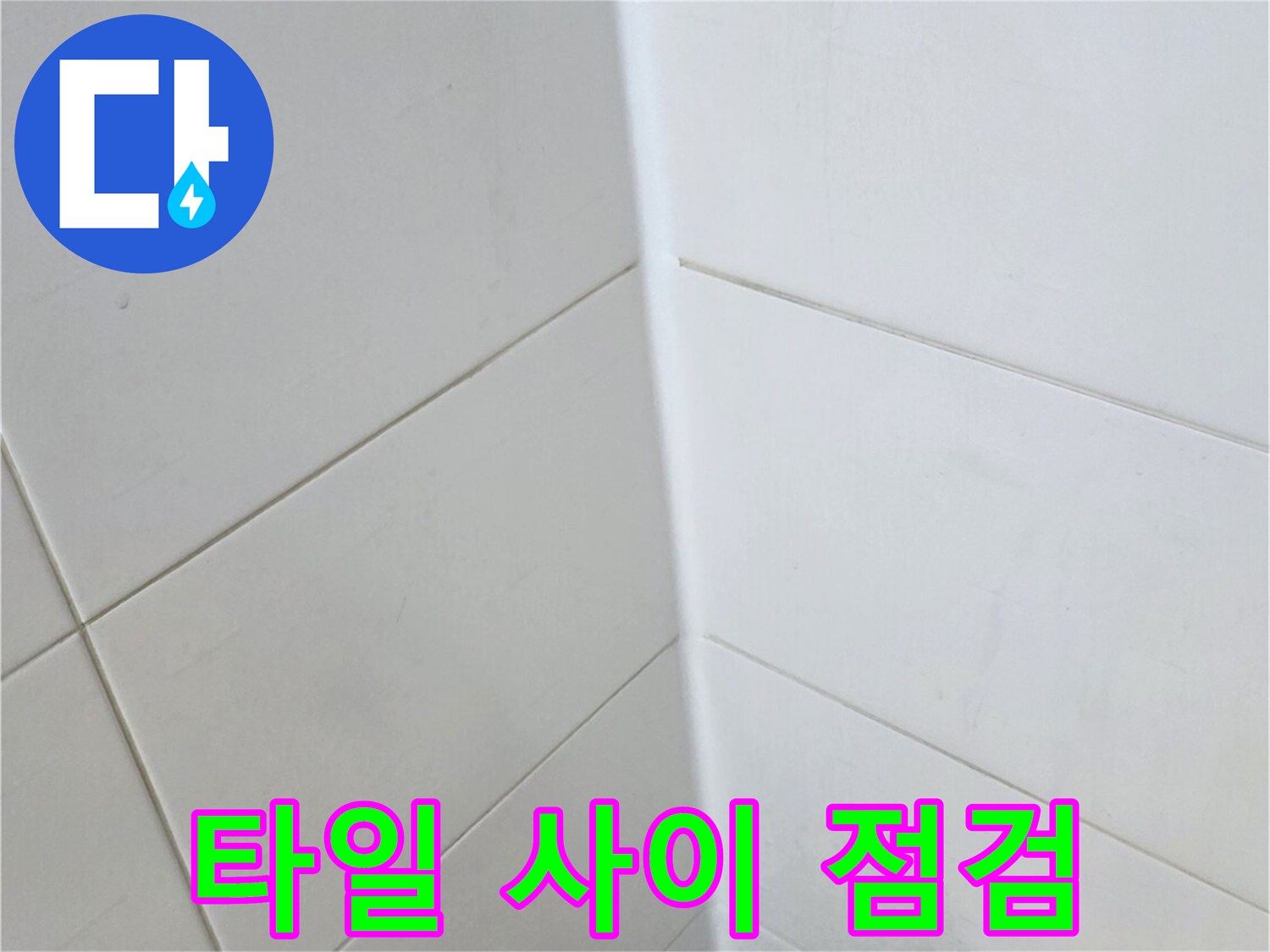 양주 화장실 타일 틈새와 배수구 주변 상태 확인