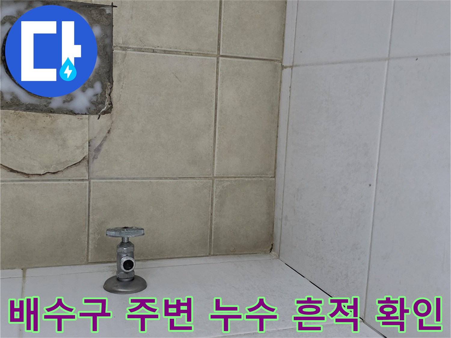 욕실-배수구-주변-타일-틈새-및-오염-상태