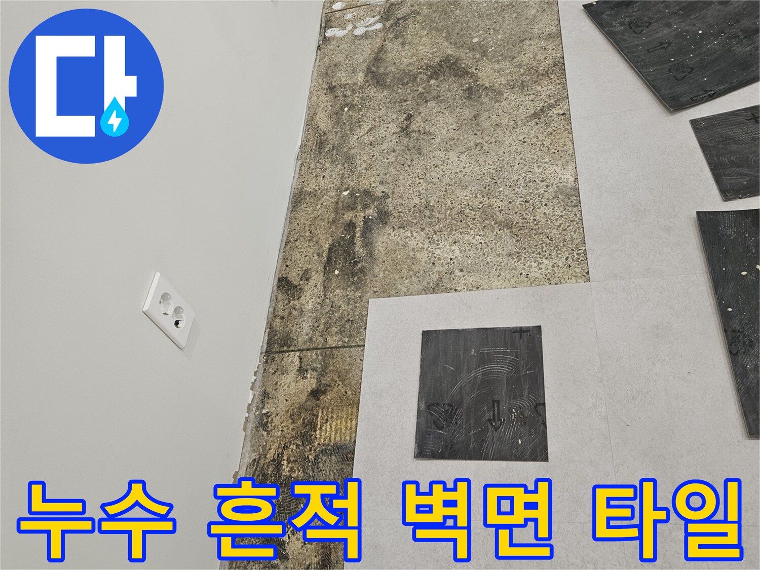 벽면 하단-물샘으로 인해 변색된 타일과 곰팡이 부위