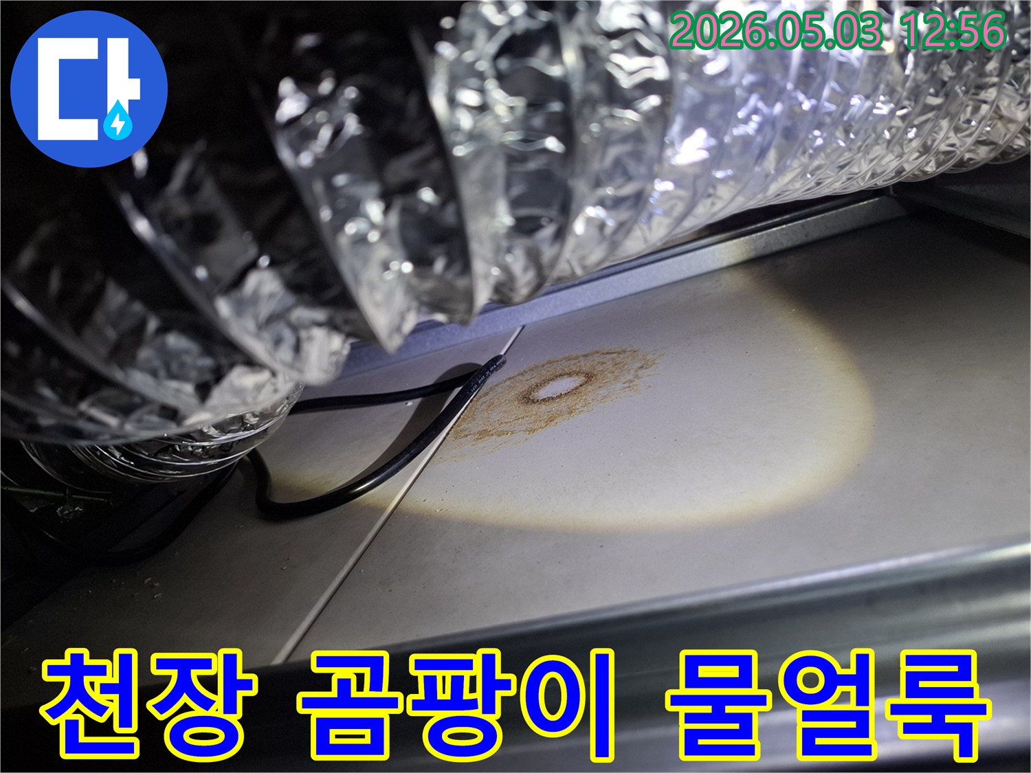 천장 마감재에 발생한 곰팡이와 물얼룩을-조명으로 비춰 정밀하게 관찰하는 모습입니다.