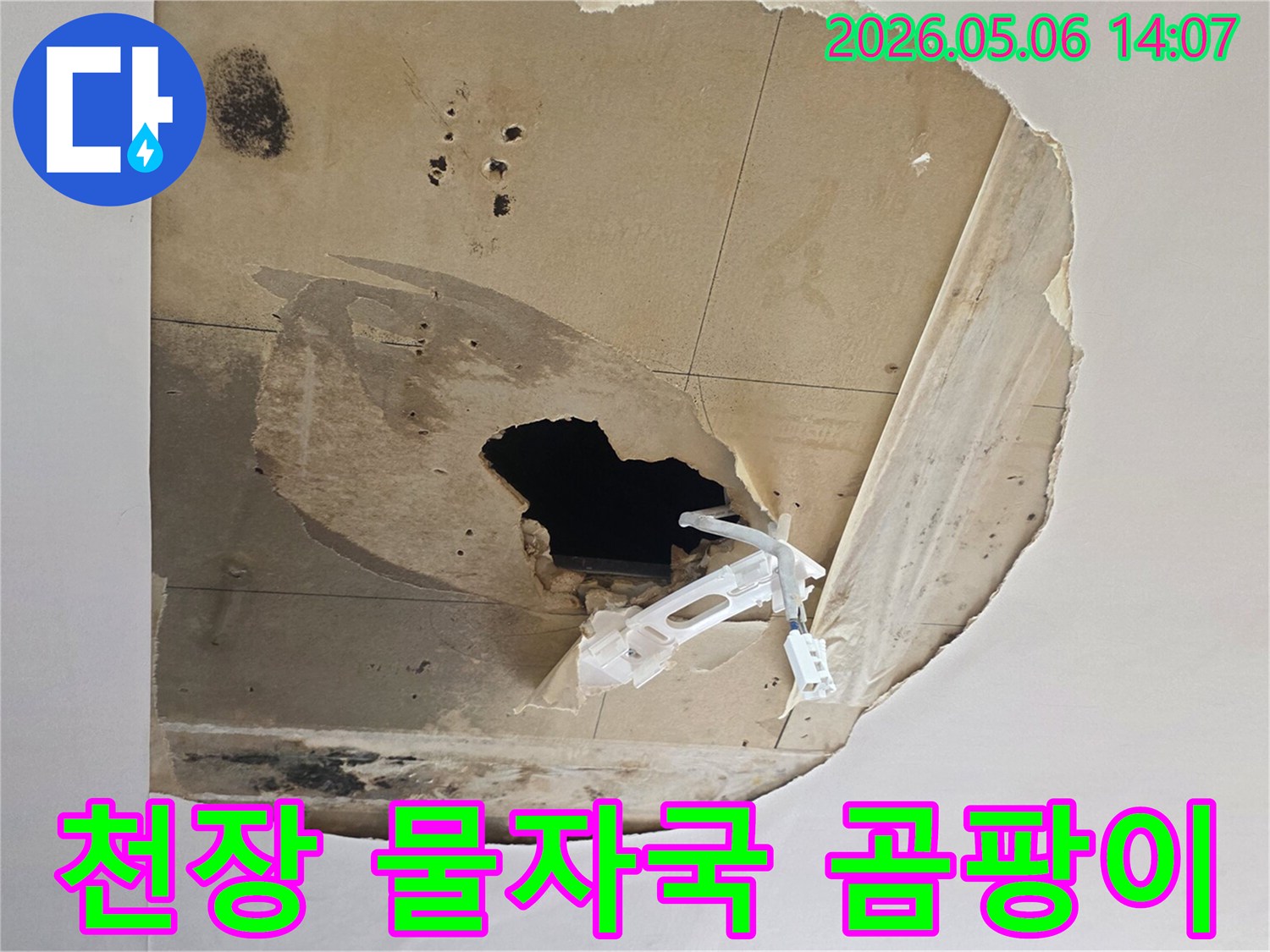천장에-물자국과-검은-곰팡이가-선명하게-보이며-일부가-파손된-누수-피해-현장