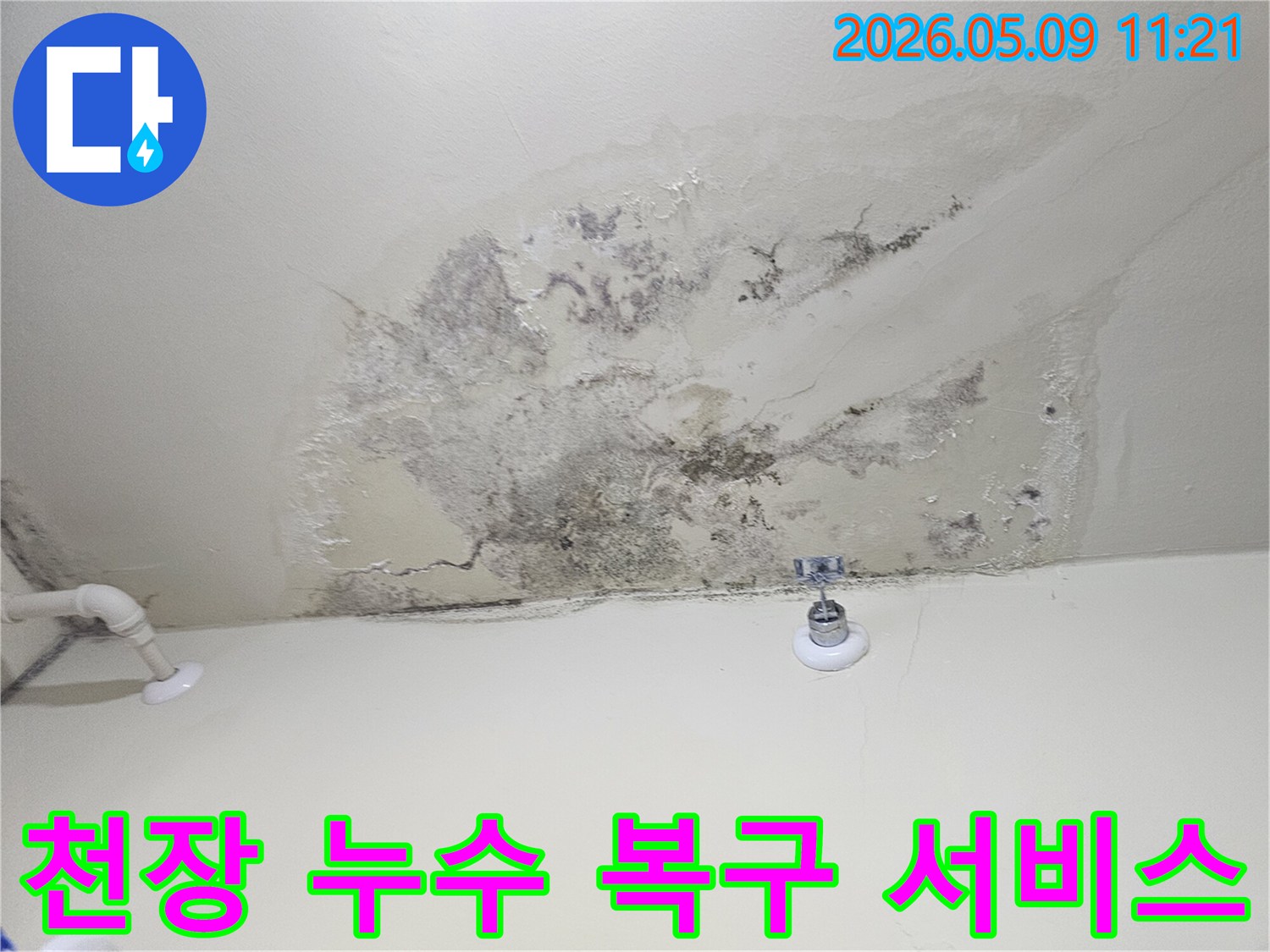 시흥 아파트 천장에 발생한 심각한 누수와-곰팡이 오염 현장 모습