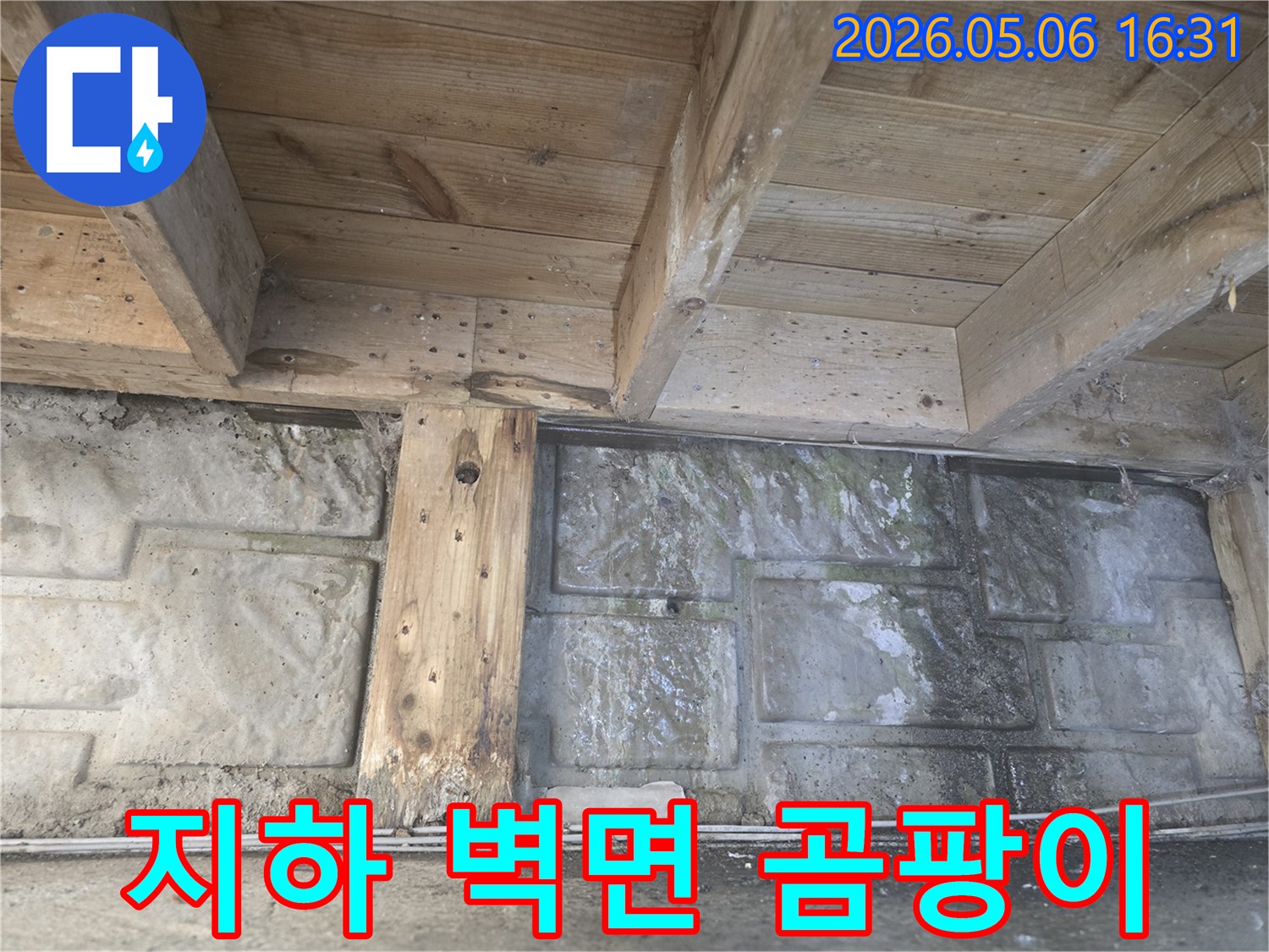 지하 벽면에-물기가 스며들어-곰팡이가 광범위하게-발생한-누수 현장의 모습