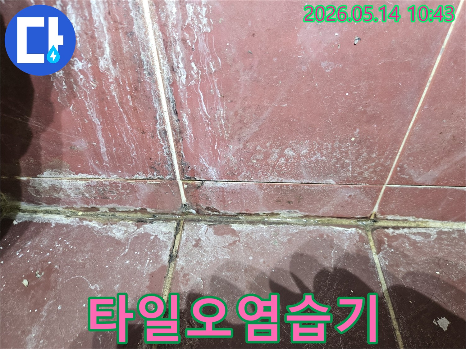 붉은색 타일 위로-하얀 물 자국과-곰팡이가 섞여 있습니다