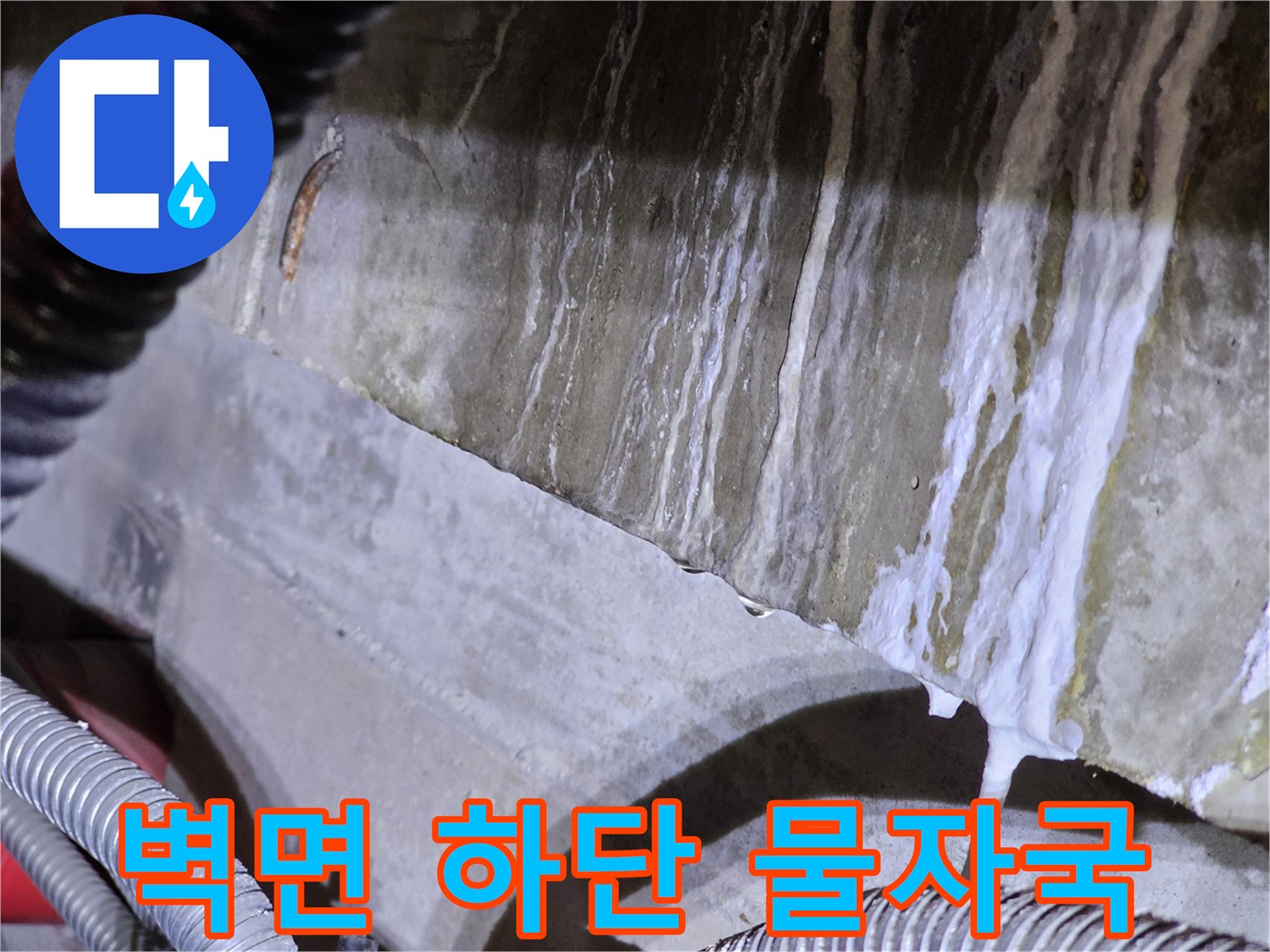 송파구 건물 벽체에 발생한 흰색 백화 현상과 물스며든 흔적