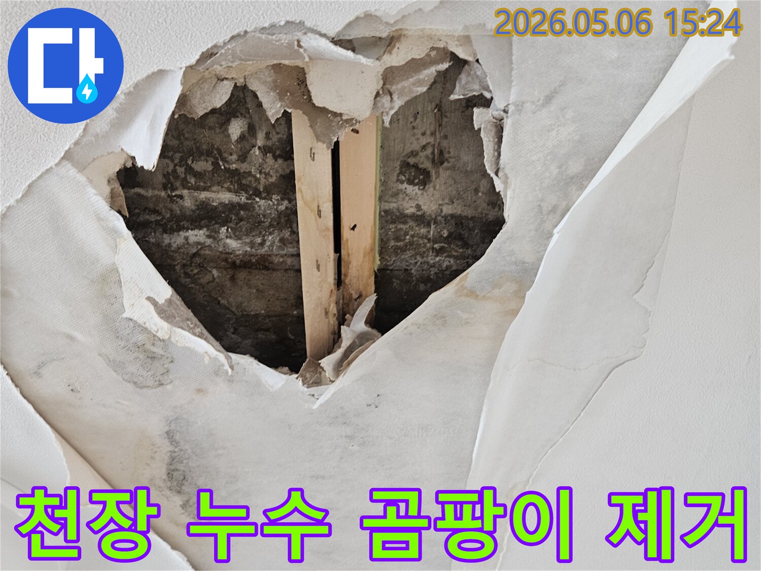 천장 벽지가 젖고-뜯겨져 곰팡이가 발생한 누수 현장에서 습기 및 곰팡이 제거가 시급한 모습입니다.