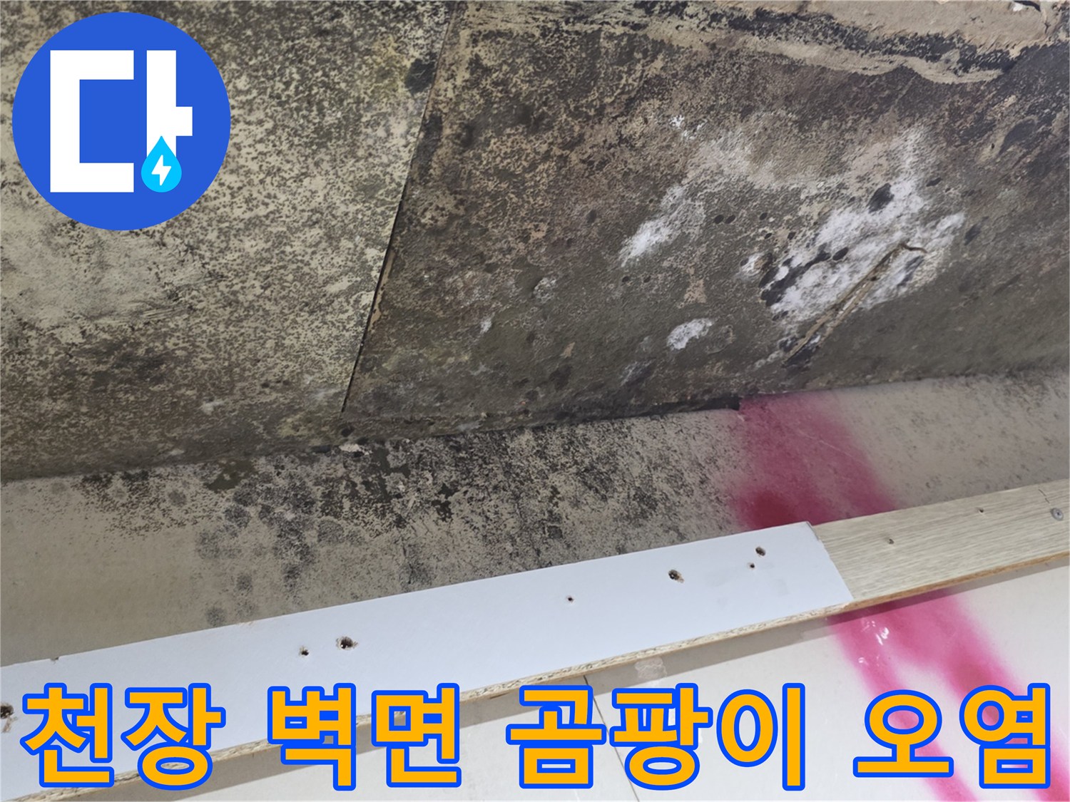 누수 피해 부위-천장의 검은 곰팡이와 습기 흔적