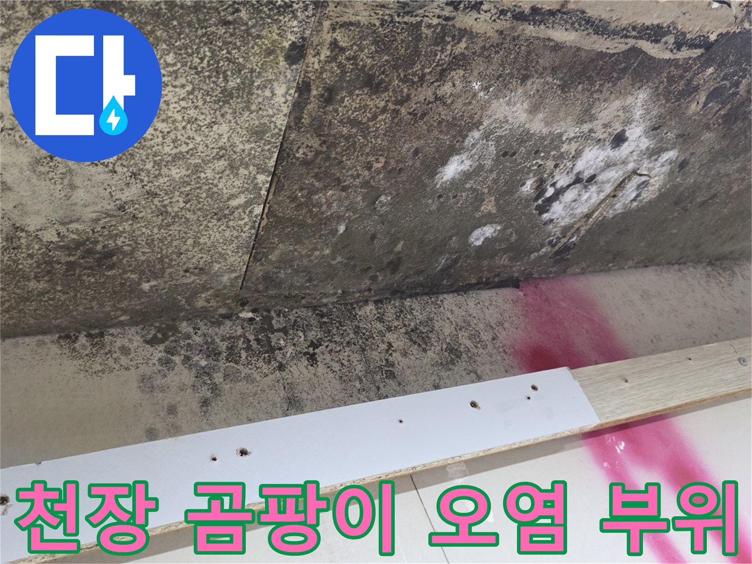누수 피해 현장-천장 벽면의 심한 곰팡이와 얼룩