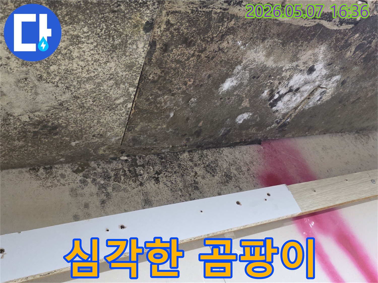 물샘-현상으로-인해-천장에-발생한-심각한-곰팡이-모습입니다