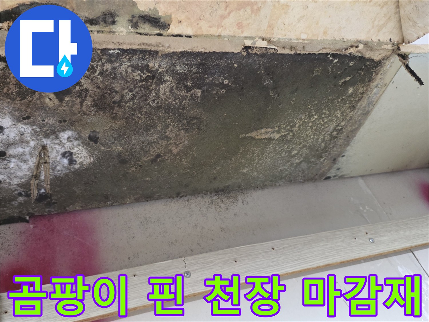 주방 천장 내부 - 곰팡이가 넓게 퍼진 마감재 상태