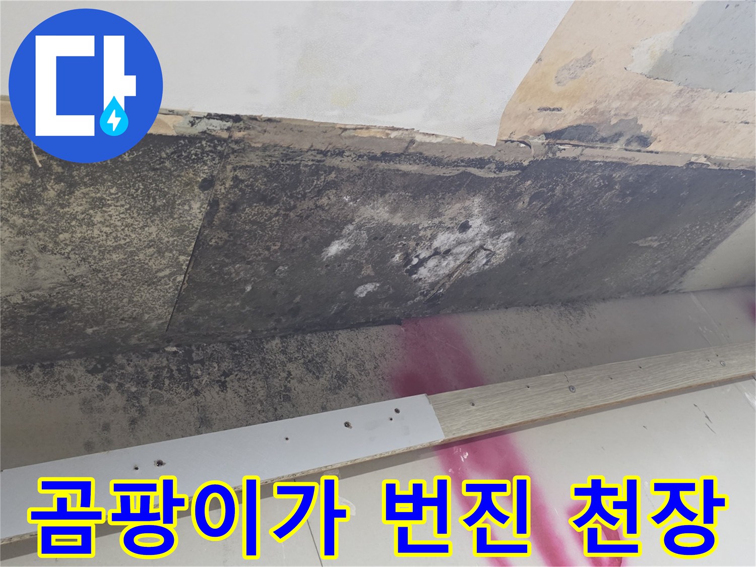 주방 천장 내부-심한 곰팡이와 물 얼룩 현상