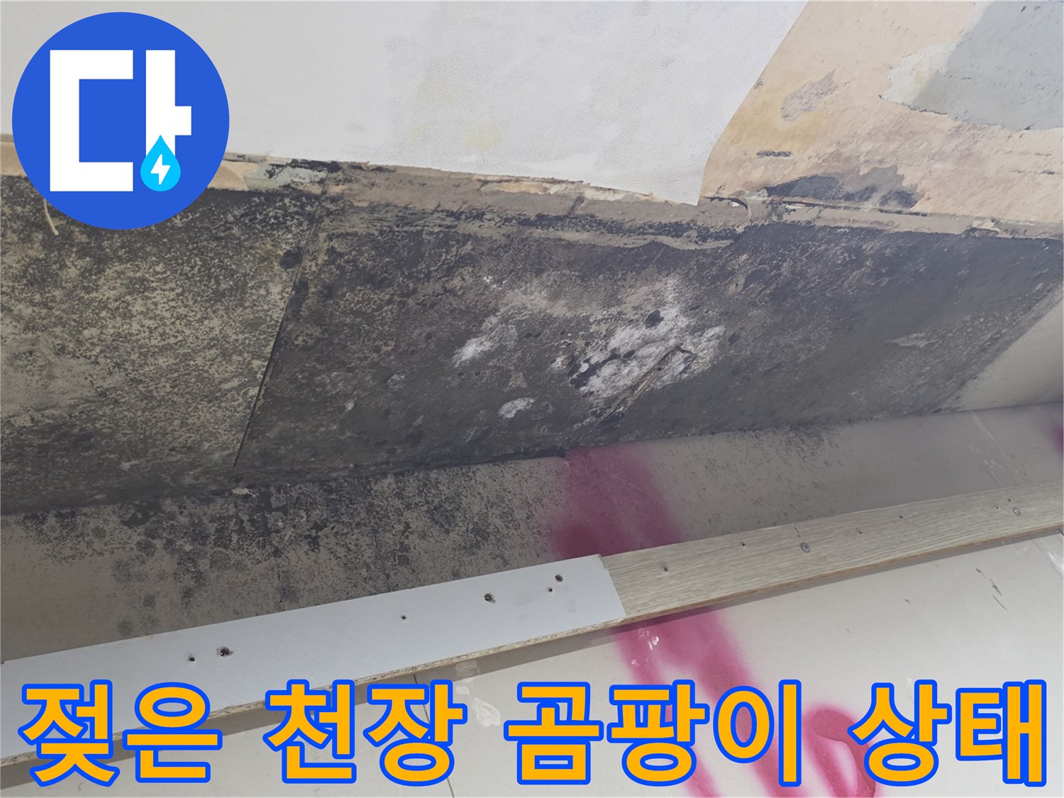 주방 천장 하단-곰팡이가 번진 마감재 부위