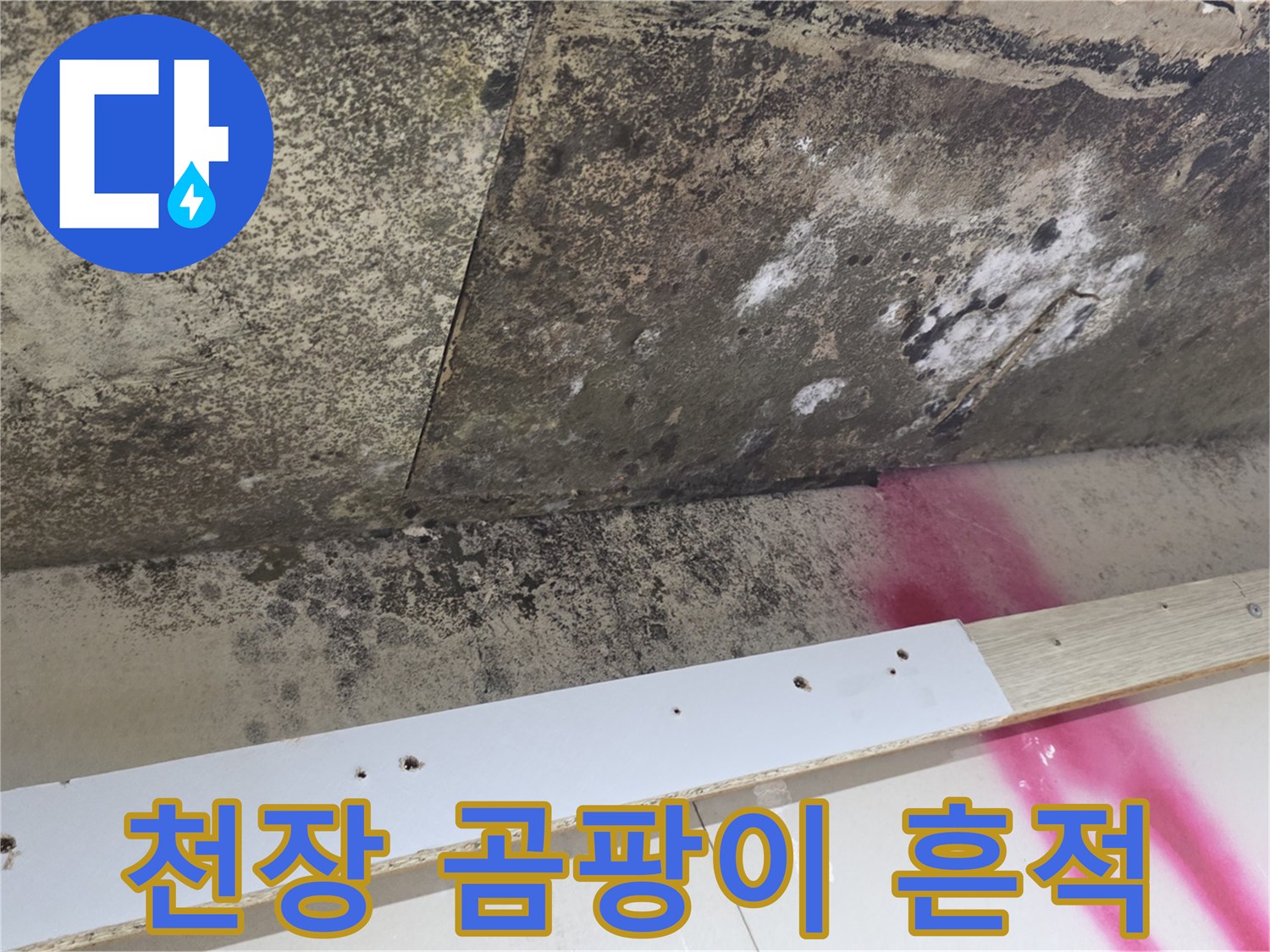 천장 마감재에 발생한 검은색 곰팡이와 물자국