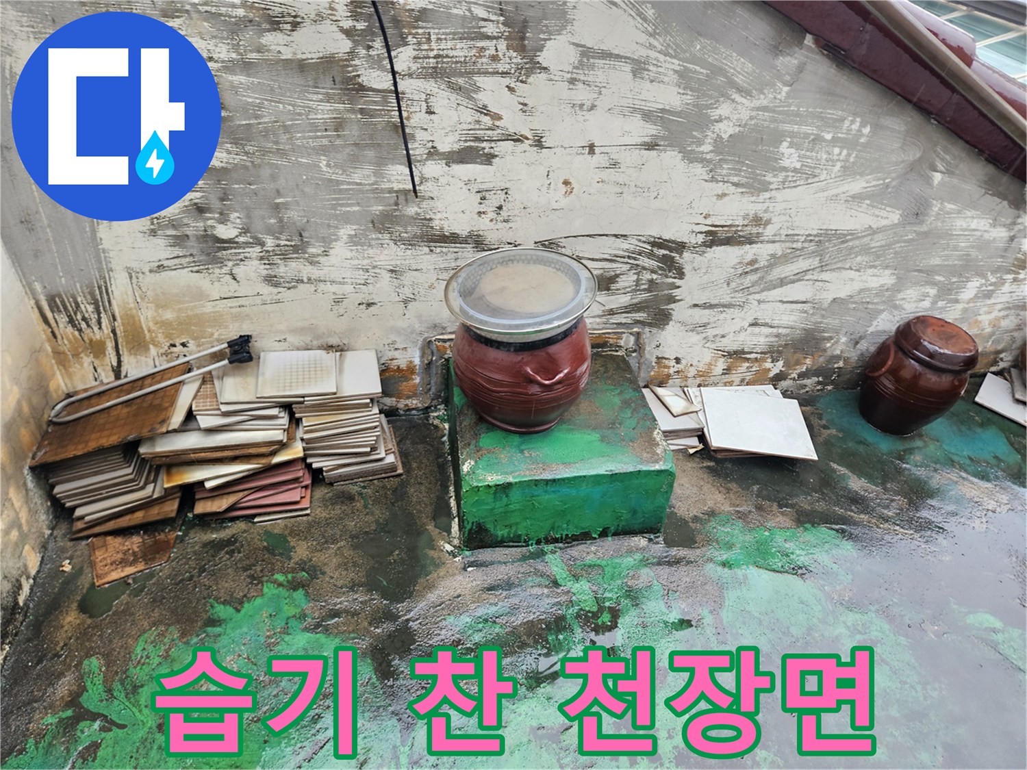 물샘 흔적이 가득한 상가 천장의 녹색 도장 부위