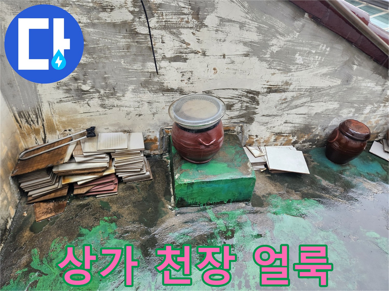 일산동구 상가 천장의 누수 흔적과 젖은 부위 모습
