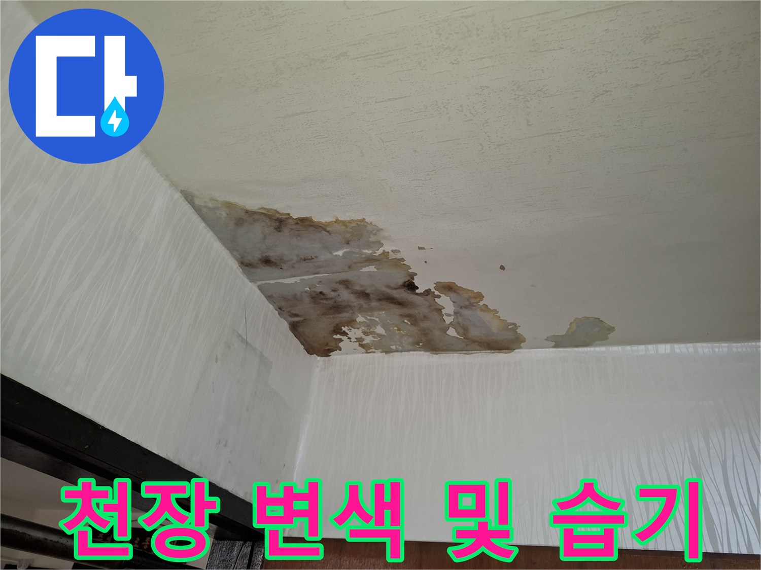 거실 천장 벽지가 젖어 변색된 모습입니다.