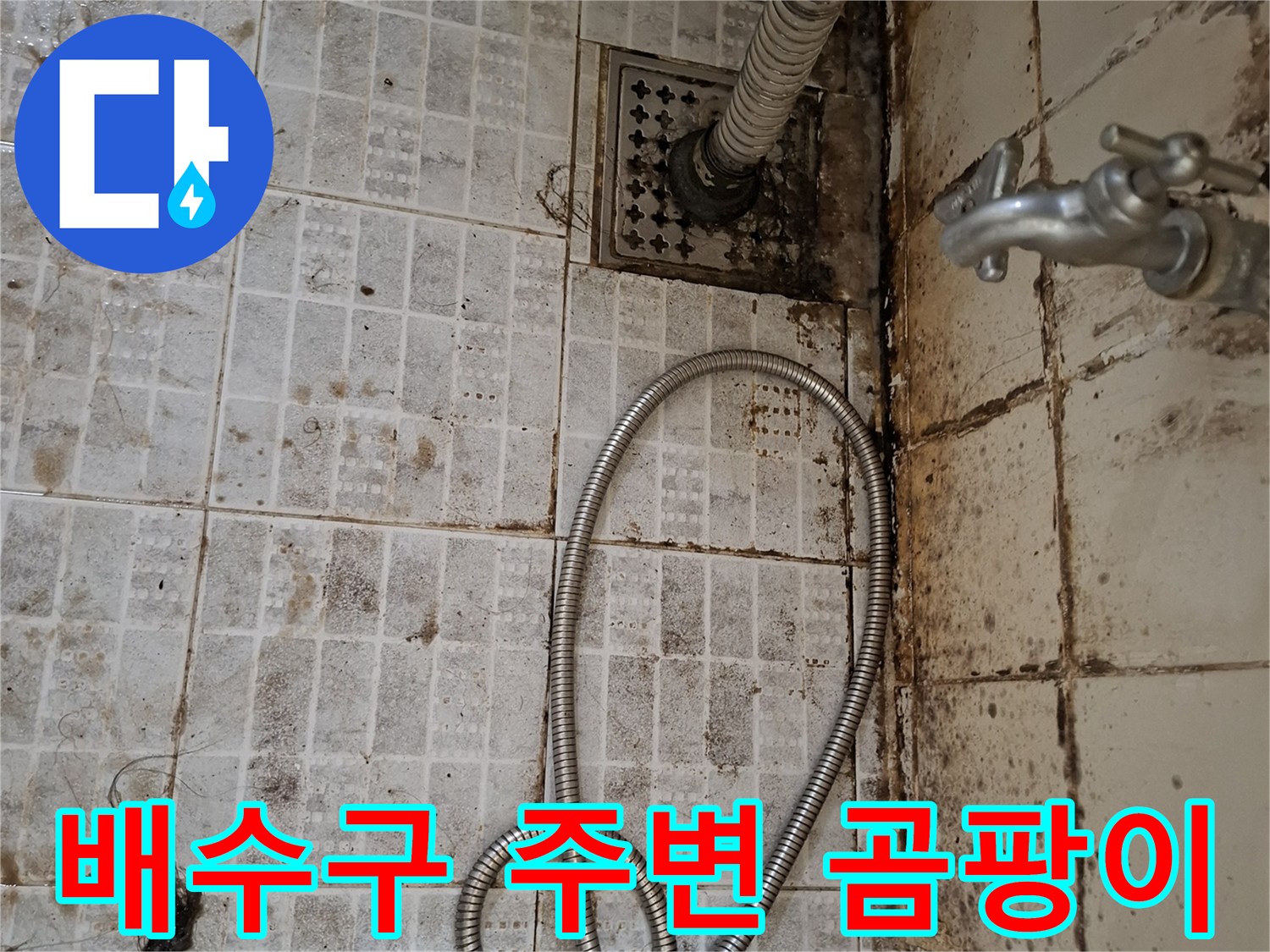 욕실 배수구 근처-타일 사이의 곰팡이와 변색된 줄눈