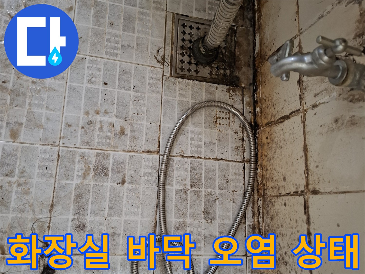 욕실 타일 틈새와 배수구 주변에 발생한 곰팡이 및 물때 얼룩