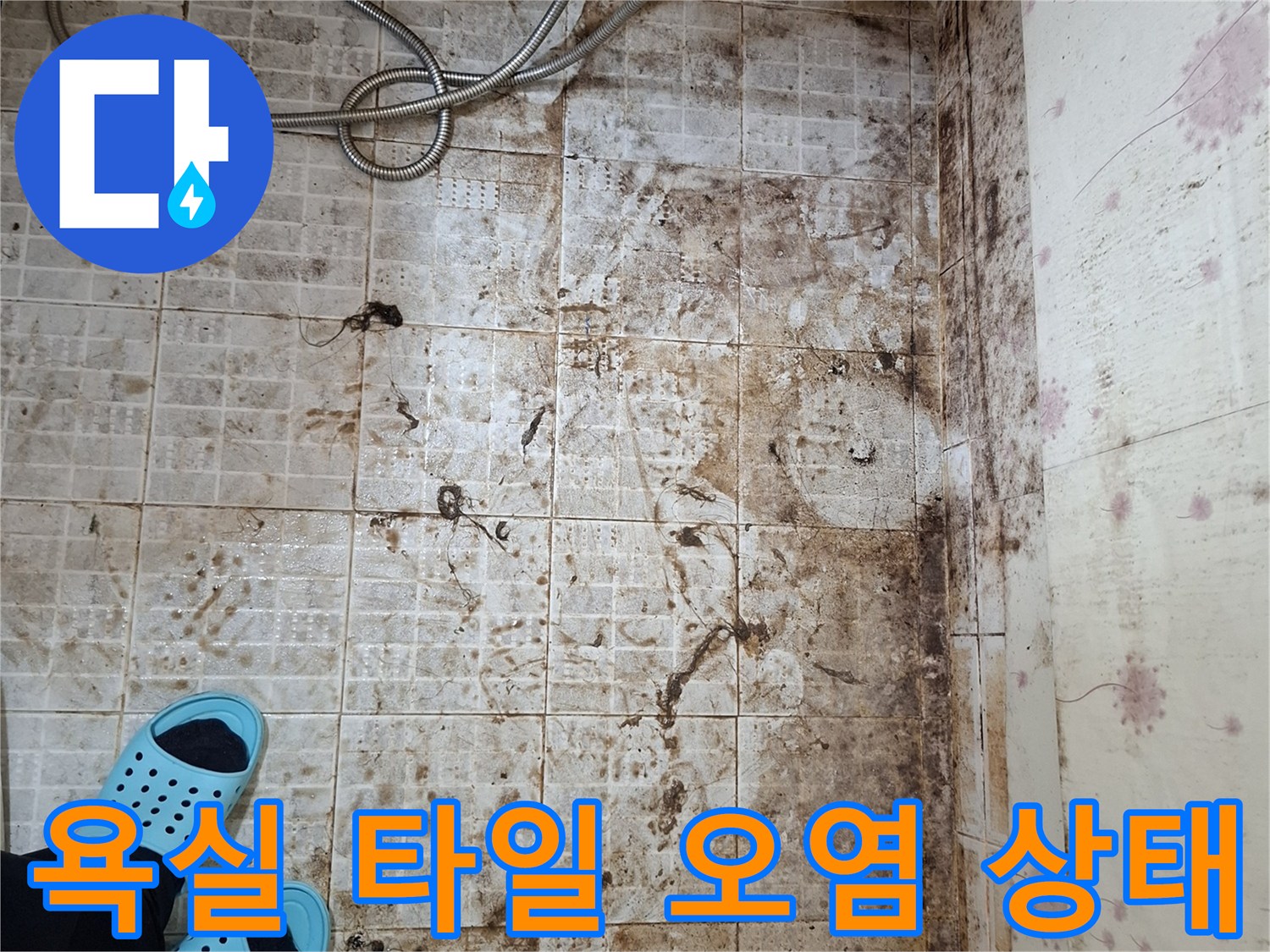 정왕동 화장실-타일 사이 곰팡이와 물때가 심하게 발생한 모습