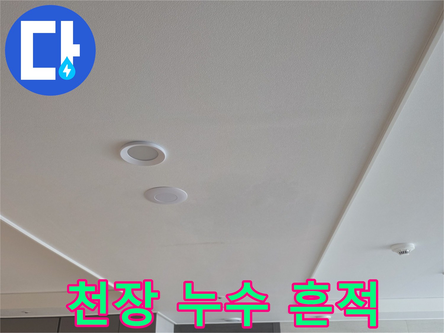 거실-천장-마감재의-물샘-흔적-촬영