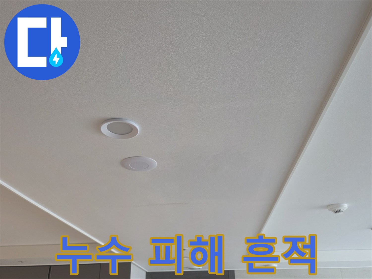 거실 천장 매립등 주변의 누수 침투 부위
