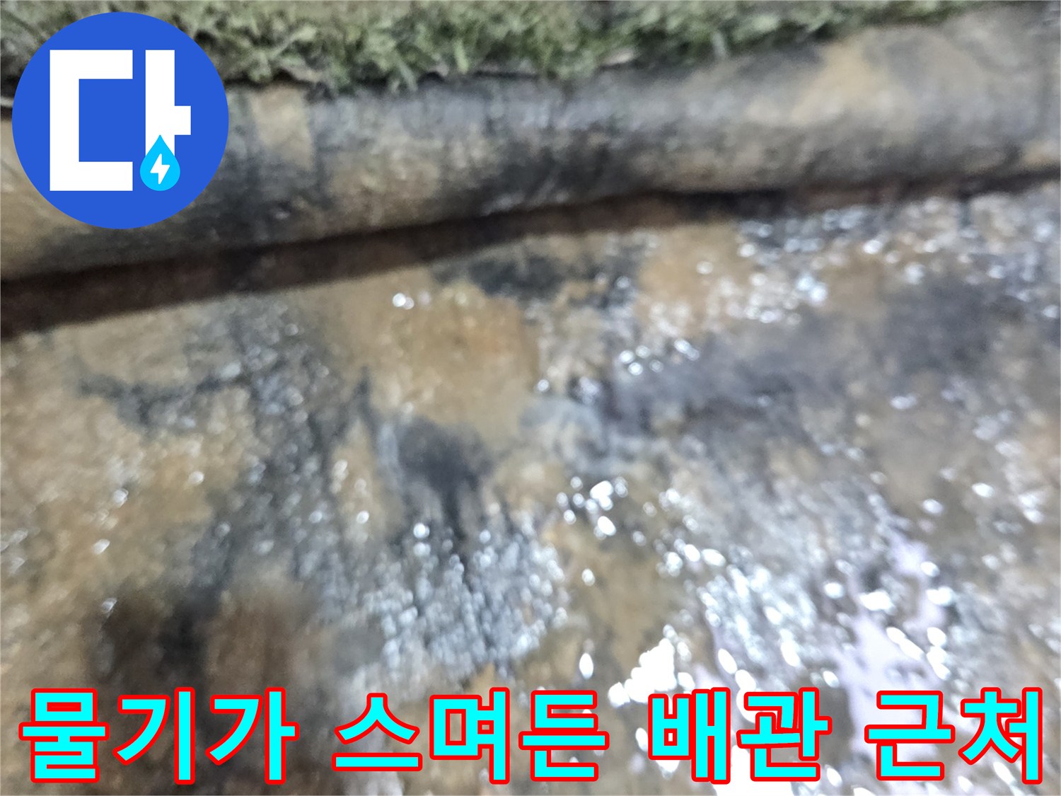 배관 주변의 물 고임-하수관 누수 의심 사례
