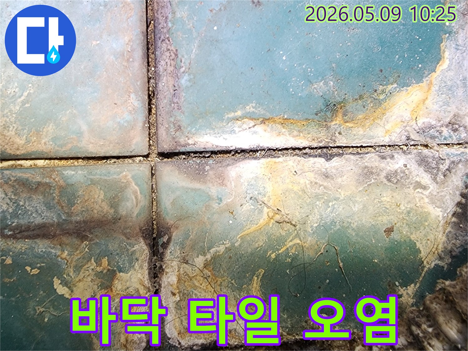 바닥 타일에 넓게 퍼진 심각한 오염과 부식-누수로 인한 미관 손상과 구조적 문제 현장